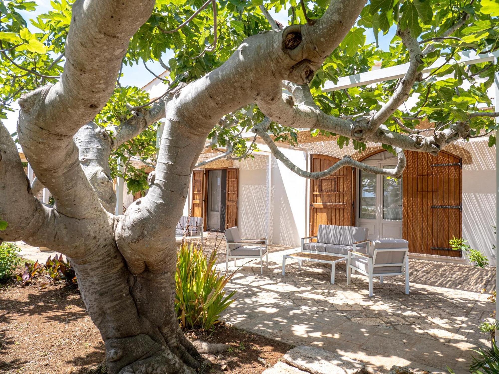 Agriturismo Masseria Alcorico Gagliano del Capo Esterno foto